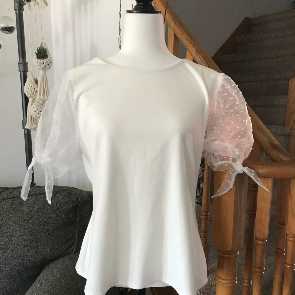 Puff lace sleeve blouse
